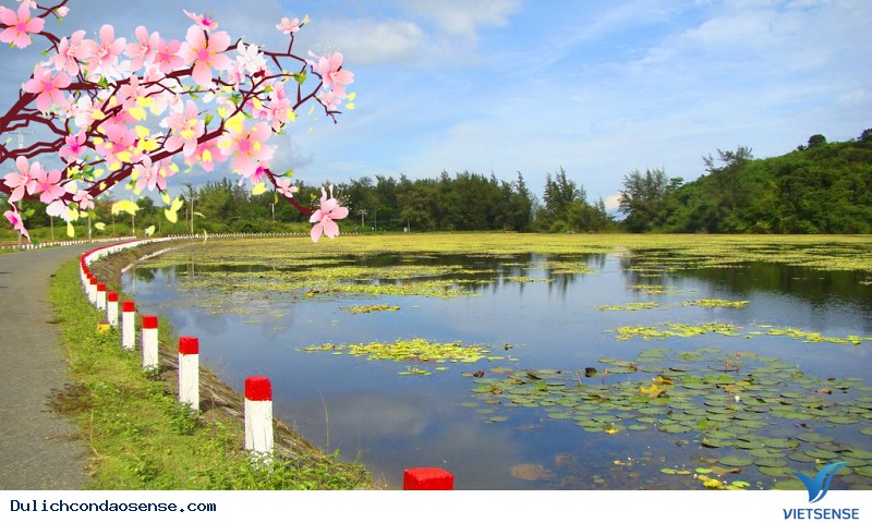 Du xuân ngày tết Côn Đảo chớ đừng quên đến Hồ An Hải - Ảnh 4 Du xuân ngày tết Côn Đảo chớ đừng quên đến Hồ An Hải - Ảnh 4