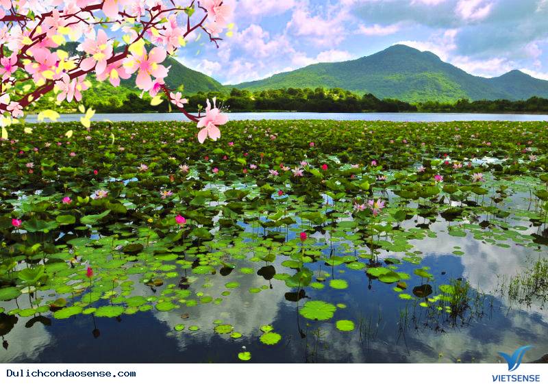 Du xuân ngày tết Côn Đảo chớ đừng quên đến Hồ An Hải - Ảnh 2 Du xuân ngày tết Côn Đảo chớ đừng quên đến Hồ An Hải - Ảnh 2