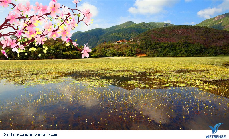 Du xuân ngày tết Côn Đảo chớ đừng quên đến Hồ An Hải - Ảnh 3 Du xuân ngày tết Côn Đảo chớ đừng quên đến Hồ An Hải - Ảnh 3