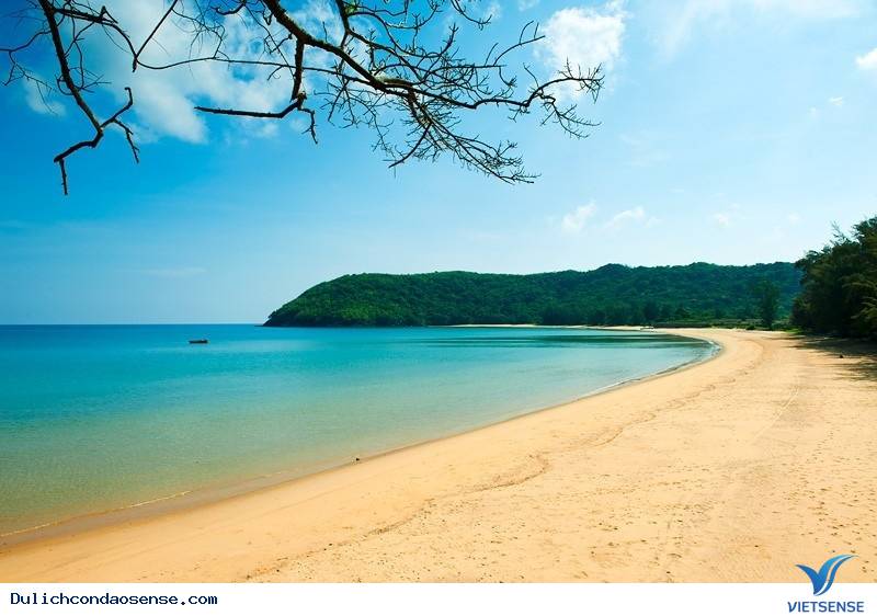 Bãi Đầm Trầu Bãi Đầm Trầu