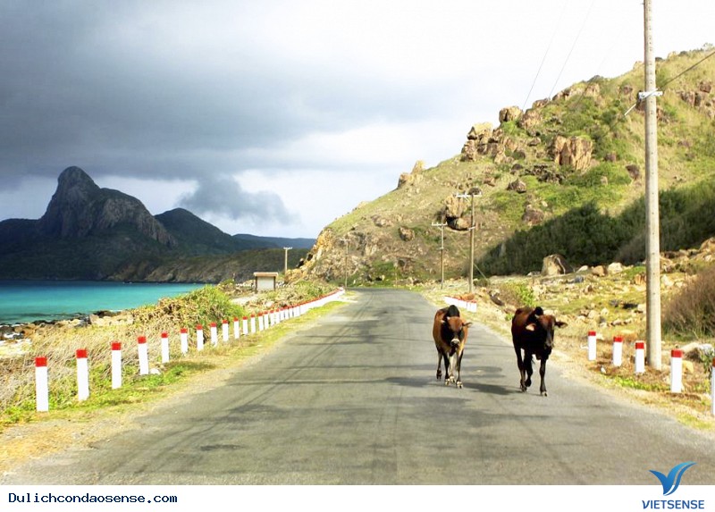 Lý do gì để đến Côn Đảo - Ảnh 3