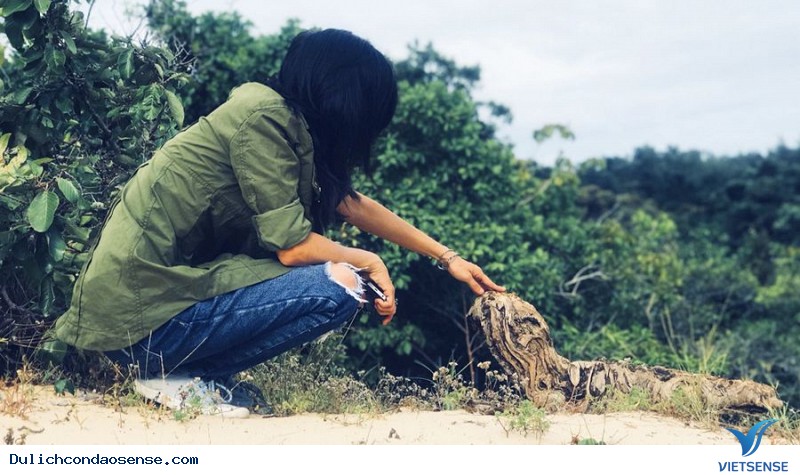 Người săn kho báu Người săn kho báu
