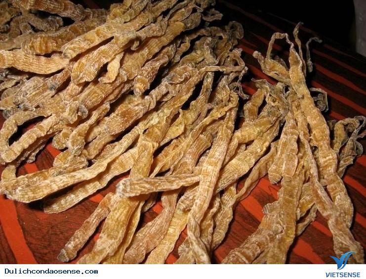 Chiến tướng “Sá sùng” Chiến tướng “Sá sùng”