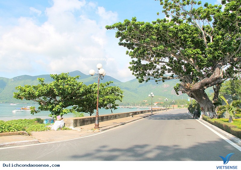 Lịch sử - Ảnh 1 Lịch sử - Ảnh 1