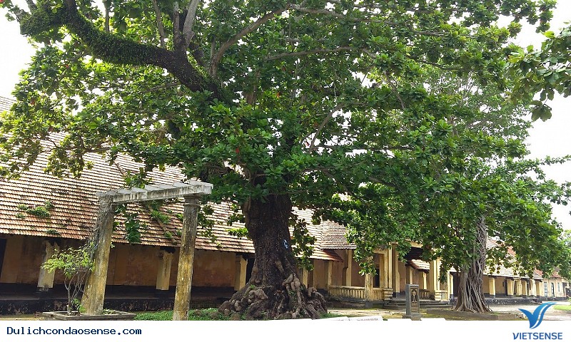 Vị trí - Ảnh 1 Vị trí - Ảnh 1