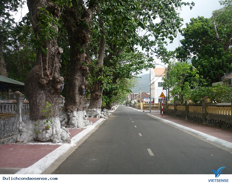 Cảm nhận Cảm nhận