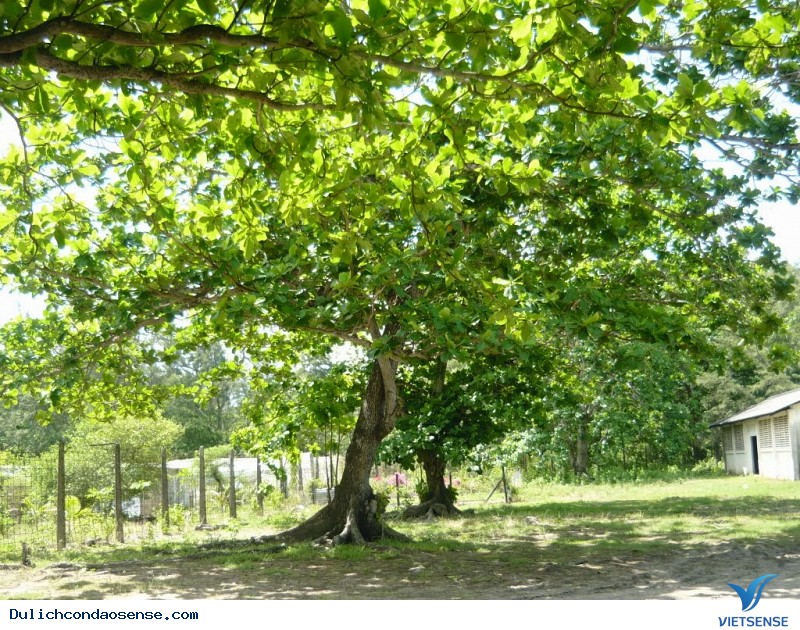 Lịch sử - Ảnh 2 Lịch sử - Ảnh 2