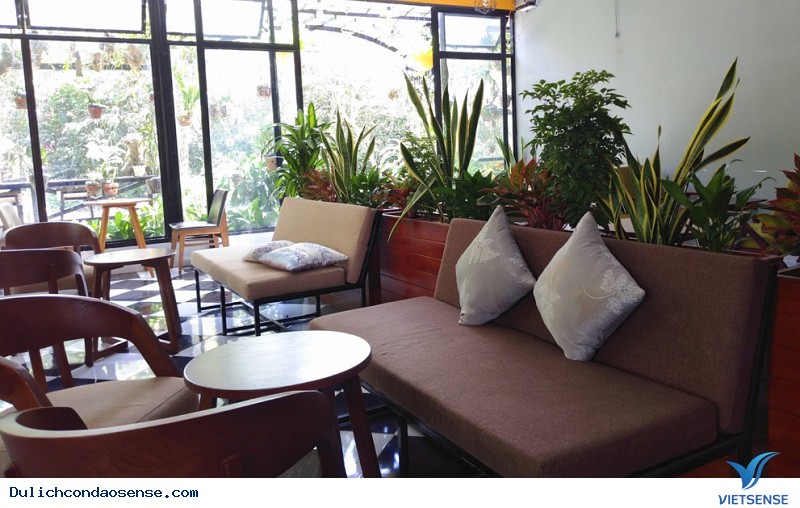 Havana Coffee & Cocktail Havana Coffee & Cocktail