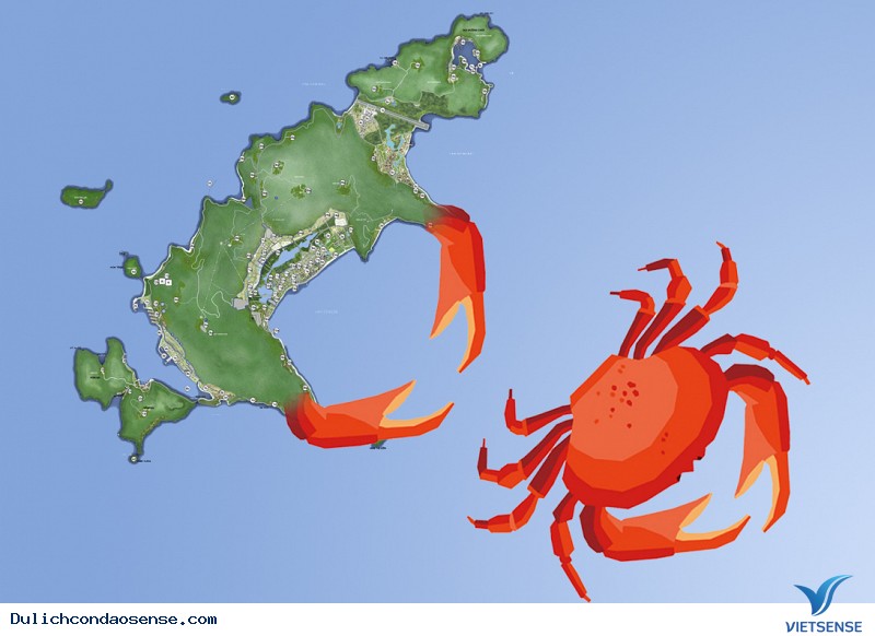 Tại sao các địa điểm du xuân Côn Đảo lại nằm về một phía - Ảnh 2 Tại sao các địa điểm du xuân Côn Đảo lại nằm về một phía - Ảnh 2