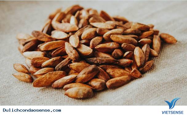 Mứt hạt bàng- đặc sản mang đậm dấu ấn Côn Đảo