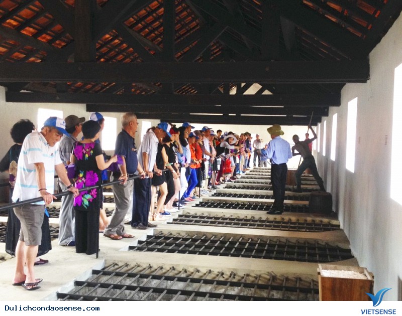 Chương trình Vũng Tàu - Côn Đảo 3 Ngày 2 đêm khuyến mãi - Ảnh 6