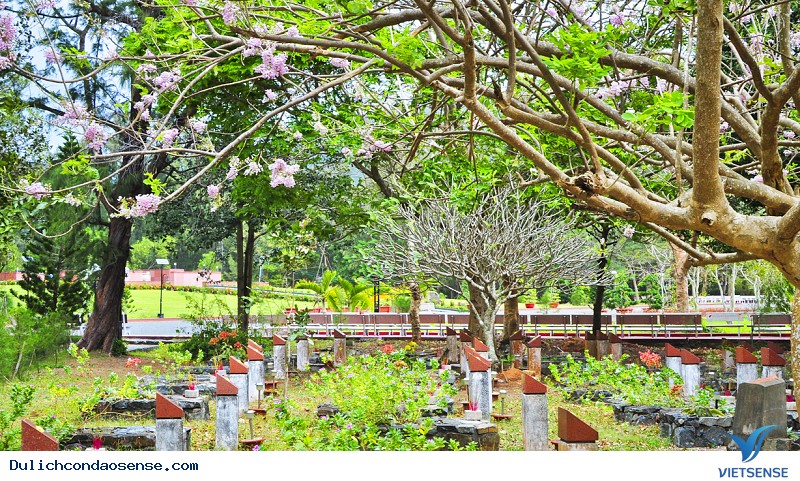 Trở về viếng thăm Nghĩa Trang Hàng Dương - Ảnh 5 Trở về viếng thăm Nghĩa Trang Hàng Dương - Ảnh 5