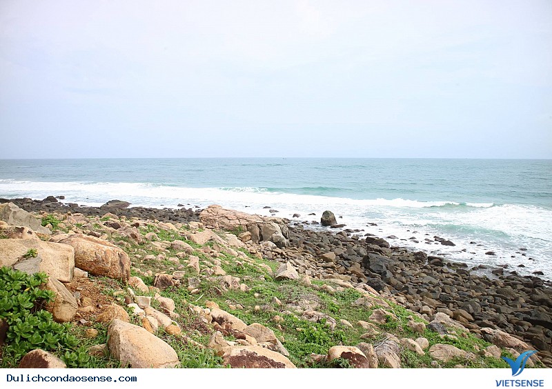 Vẻ đẹp về hệ sinh thái Vẻ đẹp về hệ sinh thái