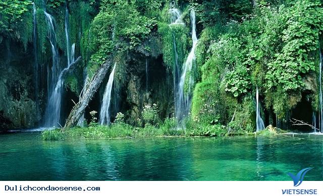 Vườn Quốc gia Côn Đảo - Ảnh 2 Vườn Quốc gia Côn Đảo - Ảnh 2