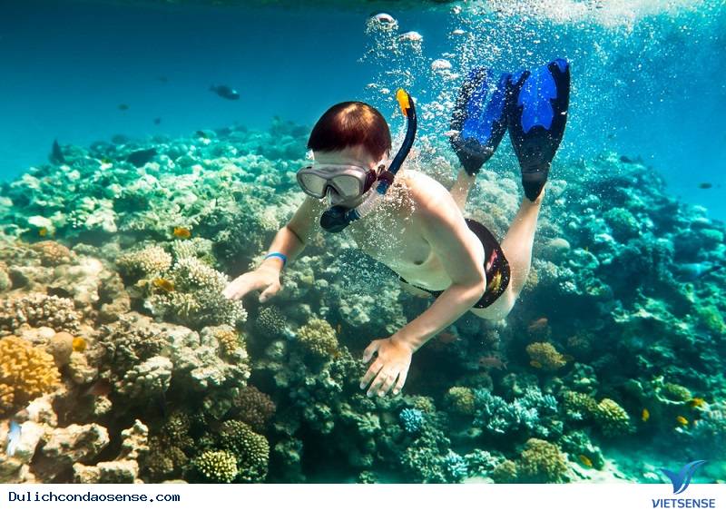 10 Lý Do Bạn Nên Đến Côn Đảo Những Ngày Tháng 3 - Ảnh 2