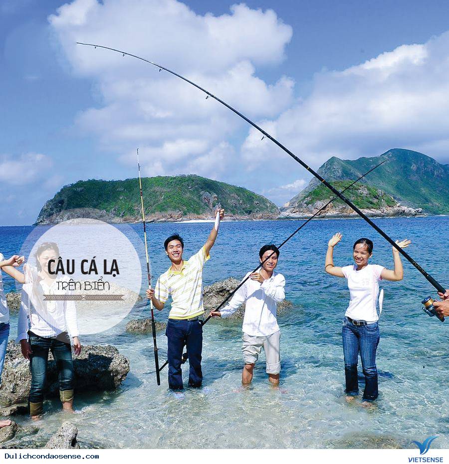 Câu Cá Lạ Trên Biển Câu Cá Lạ Trên Biển
