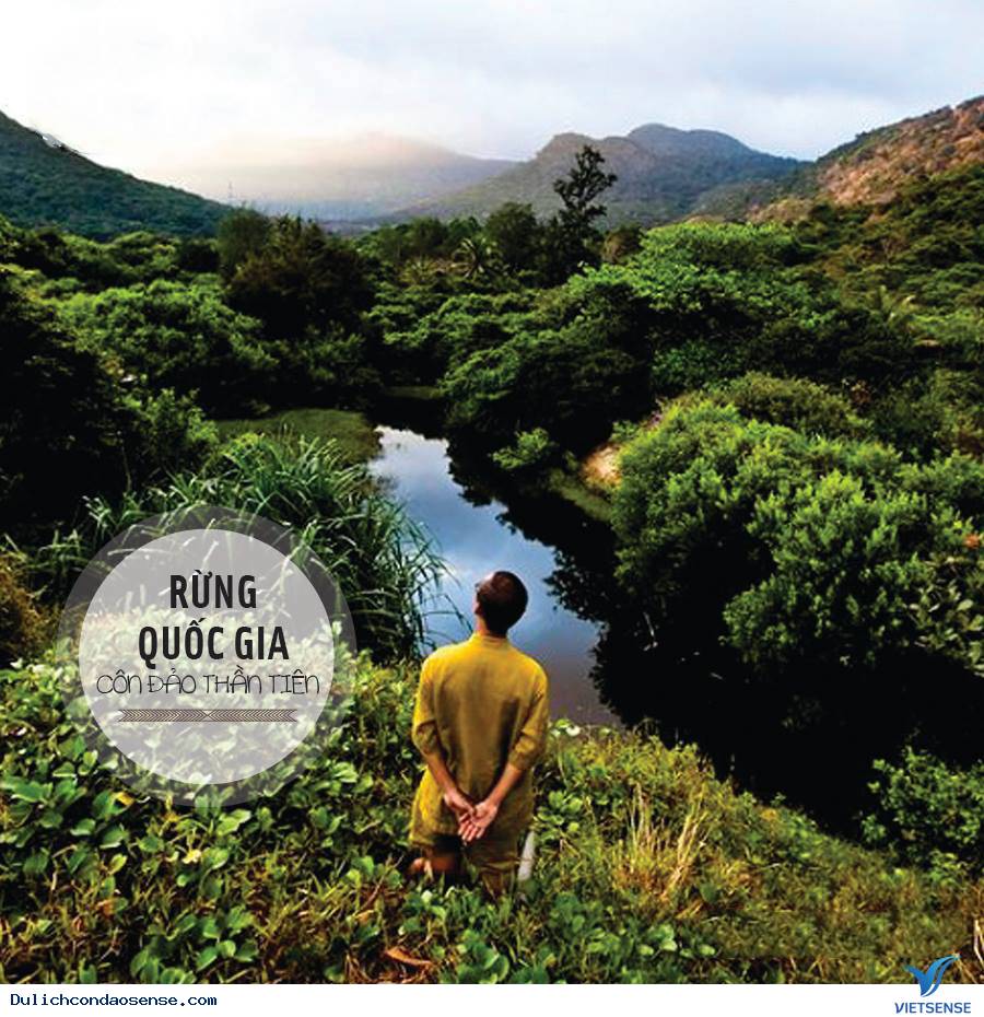 Rừng Quốc Gia - Côn Đảo Thần Tiên Rừng Quốc Gia - Côn Đảo Thần Tiên