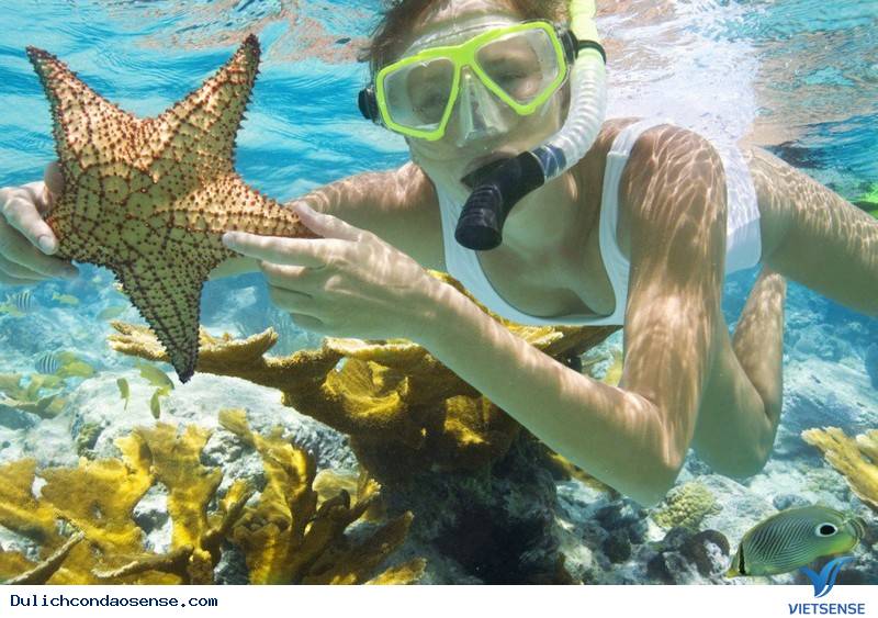 Phú Quốc (Kiên Giang) - Ảnh 2