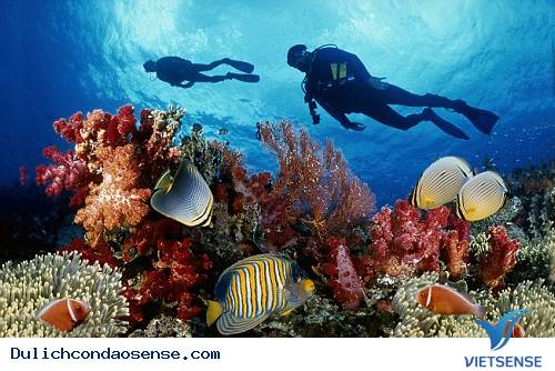 5 thiên đường hoang sơ mà bất kì ai cũng khát khao tìm đến - Ảnh 3