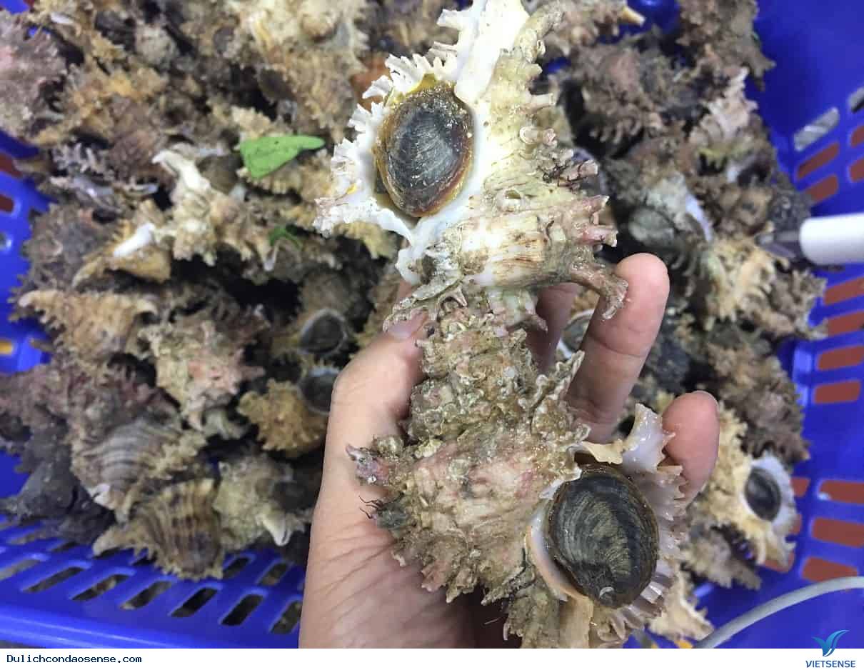 Ăn gì khi đến hòn Tre Nhỏ ? - Ảnh 1