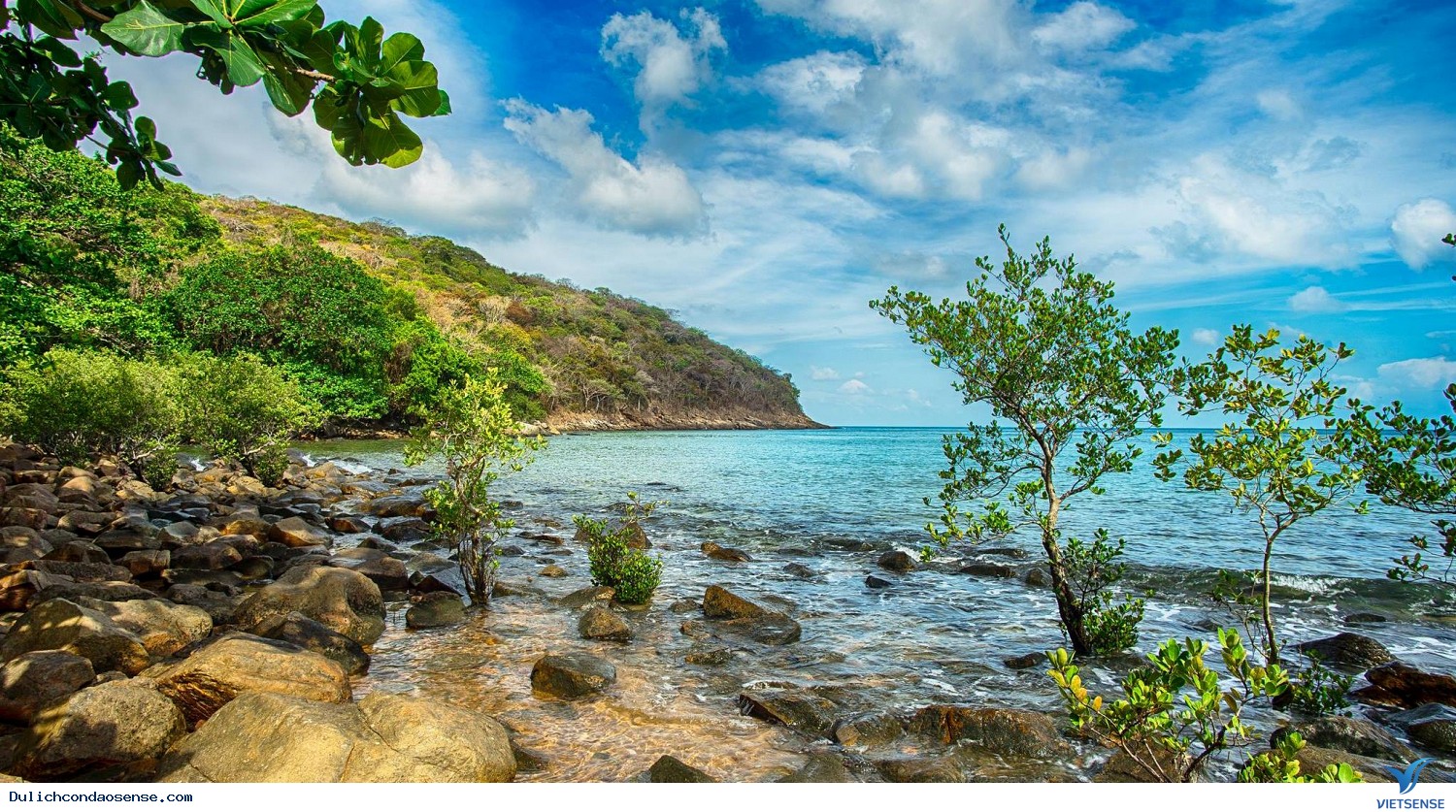 Bãi Ông Đụng, Bàng & Đất Thám Bãi Ông Đụng, Bàng & Đất Thám