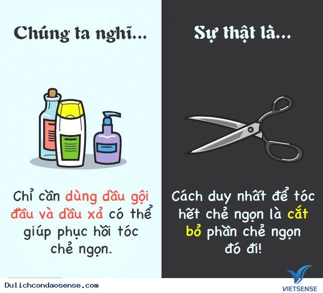 Các sự thật thú vị về cơ thể con người Các sự thật thú vị về cơ thể con người