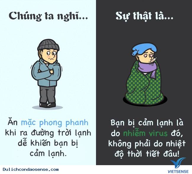 Các sự thật thú vị về cơ thể con người Các sự thật thú vị về cơ thể con người