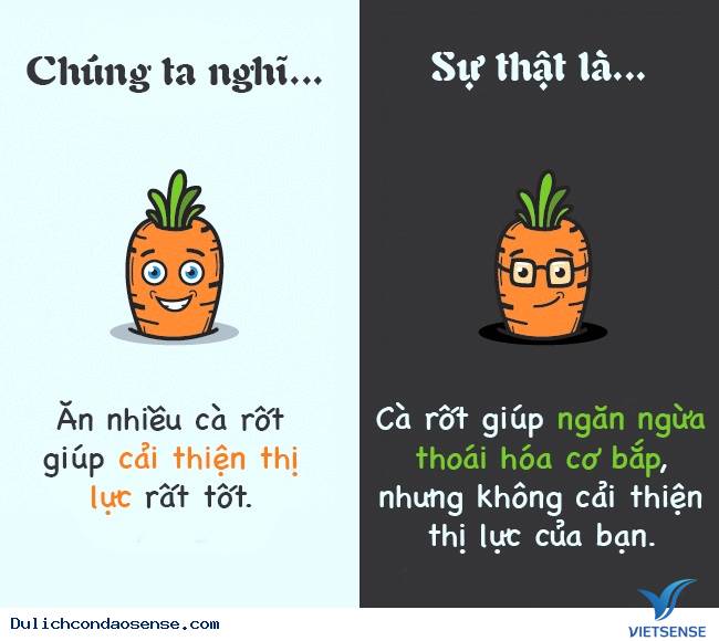 Các sự thật thú vị về cơ thể con người Các sự thật thú vị về cơ thể con người