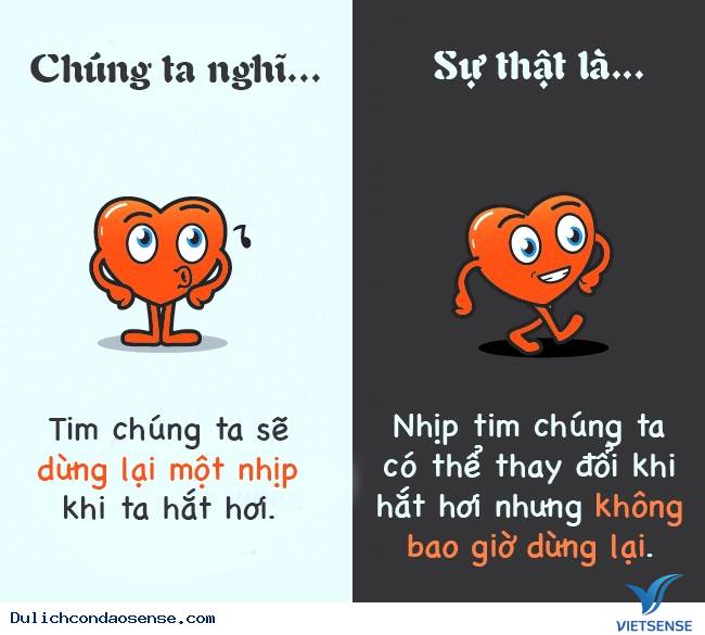 Các sự thật thú vị về cơ thể con người Các sự thật thú vị về cơ thể con người