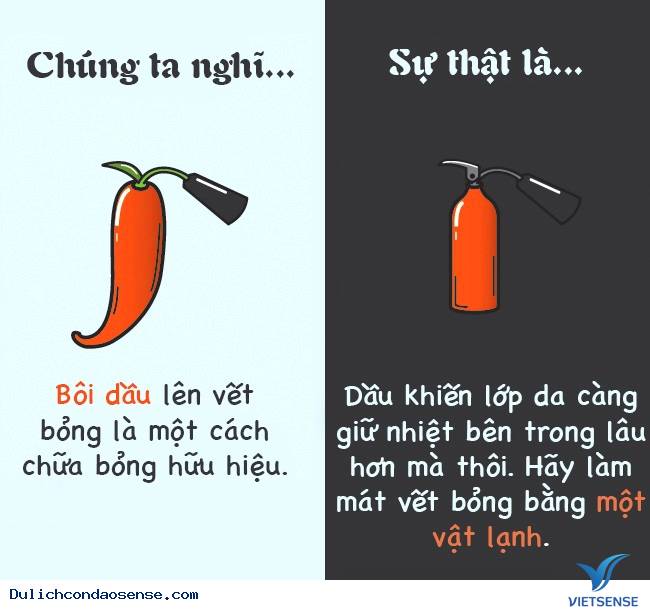 Các sự thật thú vị về cơ thể con người Các sự thật thú vị về cơ thể con người