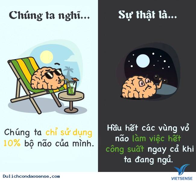 Các sự thật thú vị về cơ thể con người Các sự thật thú vị về cơ thể con người