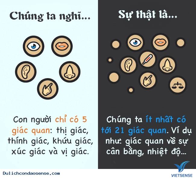 Các sự thật thú vị về cơ thể con người Các sự thật thú vị về cơ thể con người