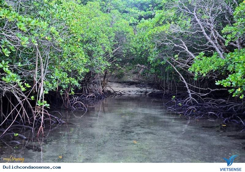 Cô Gái Sài Gòn Chia Sẻ Hành Trình Khám Phá Côn Đảo Đáng Nhớ - Ảnh 8 Cô Gái Sài Gòn Chia Sẻ Hành Trình Khám Phá Côn Đảo Đáng Nhớ - Ảnh 8