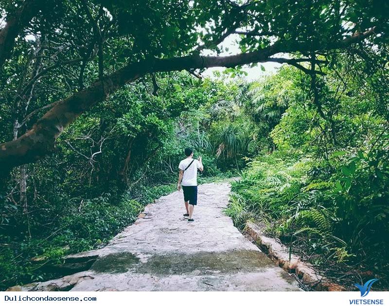 Cô Gái Sài Gòn Chia Sẻ Hành Trình Khám Phá Côn Đảo Đáng Nhớ - Ảnh 3 Cô Gái Sài Gòn Chia Sẻ Hành Trình Khám Phá Côn Đảo Đáng Nhớ - Ảnh 3