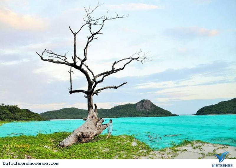 Cô Gái Sài Gòn Chia Sẻ Hành Trình Khám Phá Côn Đảo Đáng Nhớ - Ảnh 6 Cô Gái Sài Gòn Chia Sẻ Hành Trình Khám Phá Côn Đảo Đáng Nhớ - Ảnh 6