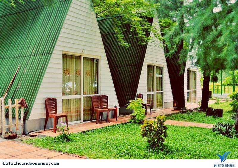 Cô Gái Sài Gòn Chia Sẻ Hành Trình Khám Phá Côn Đảo Đáng Nhớ - Ảnh 9 Cô Gái Sài Gòn Chia Sẻ Hành Trình Khám Phá Côn Đảo Đáng Nhớ - Ảnh 9