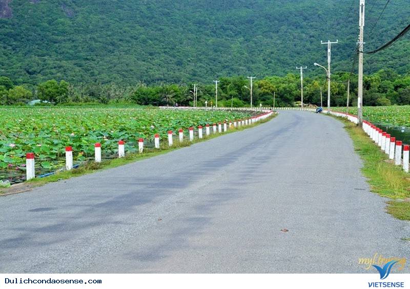 Cô Gái Sài Gòn Chia Sẻ Hành Trình Khám Phá Côn Đảo Đáng Nhớ - Ảnh 2 Cô Gái Sài Gòn Chia Sẻ Hành Trình Khám Phá Côn Đảo Đáng Nhớ - Ảnh 2