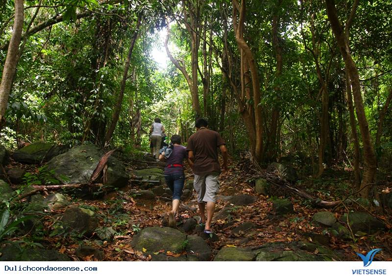 Côn Đảo - Điểm đến hoang sơ đầy bí ẩn - Ảnh 4 Côn Đảo - Điểm đến hoang sơ đầy bí ẩn - Ảnh 4