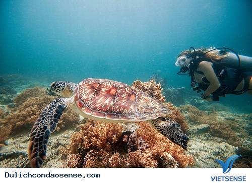 Bãi biển của đảo Gili Air, thuộc quần đảo Gili, Indonesia