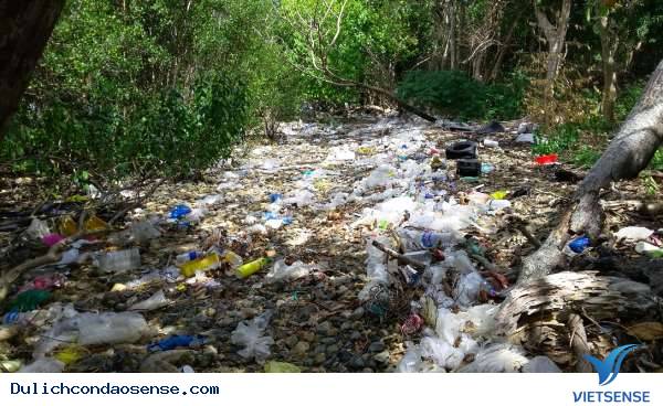 Côn Đảo ngập rác, kiểm lâm dọn không xuể - Ảnh 1 Côn Đảo ngập rác, kiểm lâm dọn không xuể - Ảnh 1