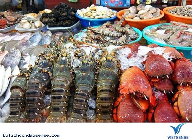 Côn Đảo thiên đường hoang sơ trên Biển Đông - Ảnh 2