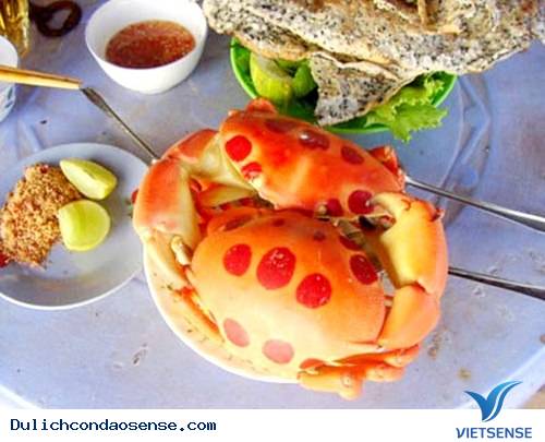 Cua Mặt Trăng Côn Đảo - Ảnh 2 Cua Mặt Trăng Côn Đảo - Ảnh 2