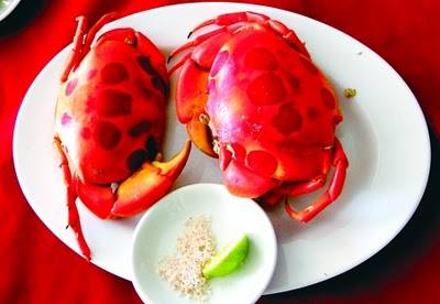 Cua Mặt Trăng Côn Đảo - Ảnh 1 Cua Mặt Trăng Côn Đảo - Ảnh 1