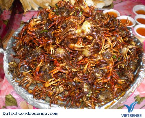 Đặc Sản Cua Vang Côn Đảo - Ảnh 1 Đặc Sản Cua Vang Côn Đảo - Ảnh 1