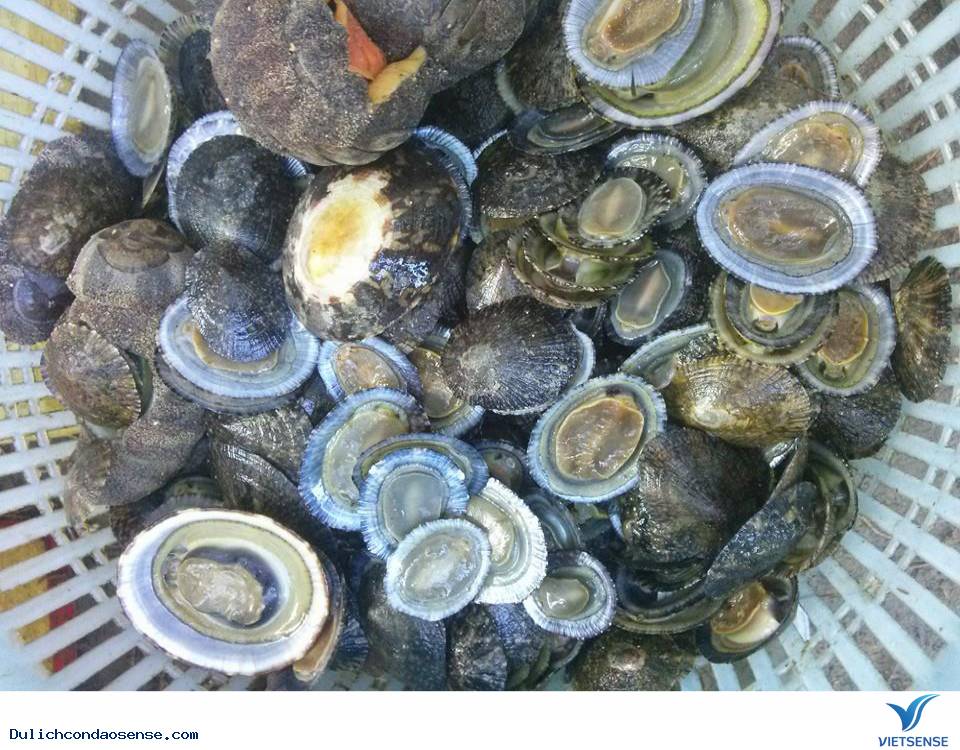 Đặc Sản Ốc Vú Nàng Côn Đảo - Ảnh 1