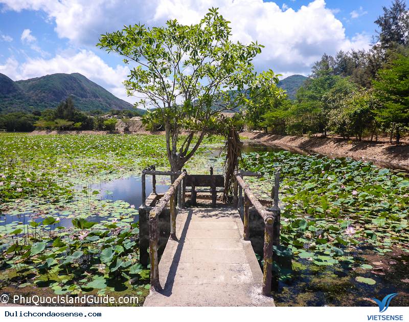 Di chuyển đến hồ An Hải như thế nào ?