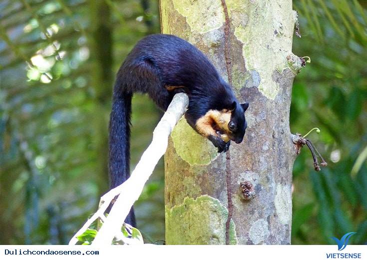 Di chuyển đến Vườn quốc gia Di chuyển đến Vườn quốc gia