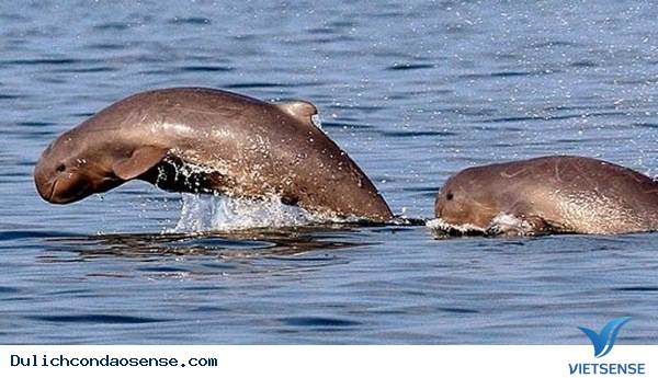 Điểm nổi bật của Bãi biển Đất Dốc Điểm nổi bật của Bãi biển Đất Dốc