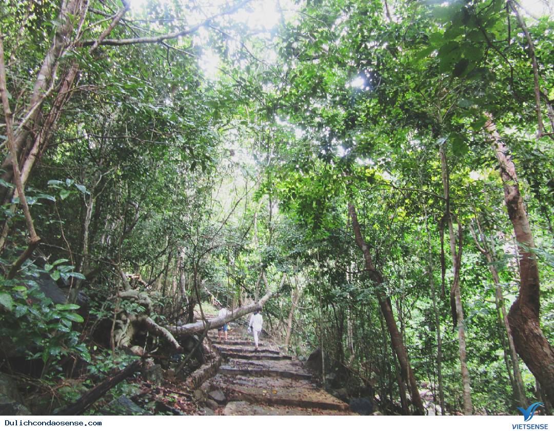 hành trình biển đảo dịp nghỉ lễ 30/4 và 1/5 - Ảnh 4 hành trình biển đảo dịp nghỉ lễ 30/4 và 1/5 - Ảnh 4