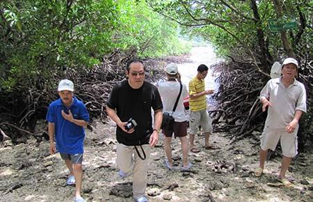 Vườn Quốc gia Côn Đảo